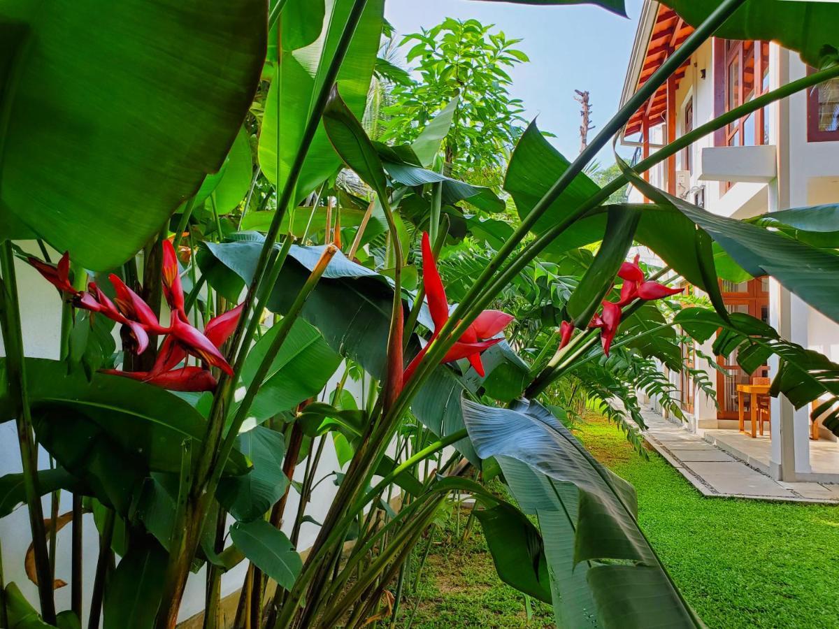 Villa Ema Галле Экстерьер фото